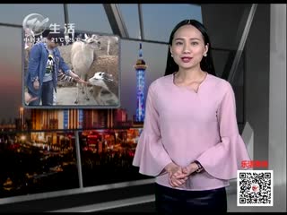 武進(jìn)新聞