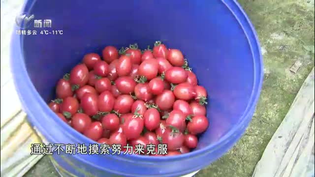 武進新聞