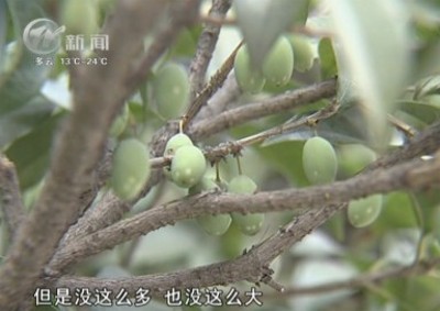 武進(jìn)新聞