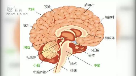 武進(jìn)新聞