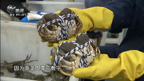武進新聞