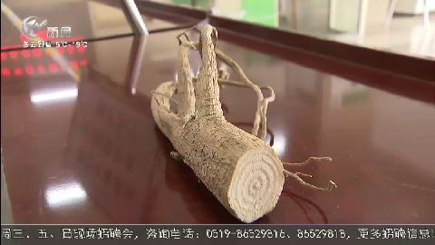 武進(jìn)新聞