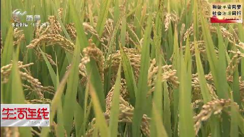 武進(jìn)新聞