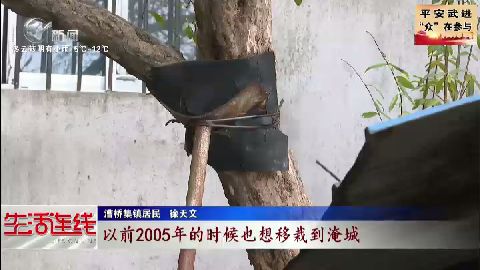 武進新聞