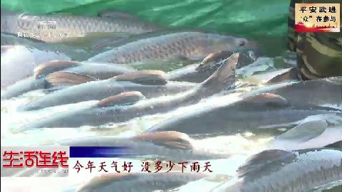 武進(jìn)新聞
