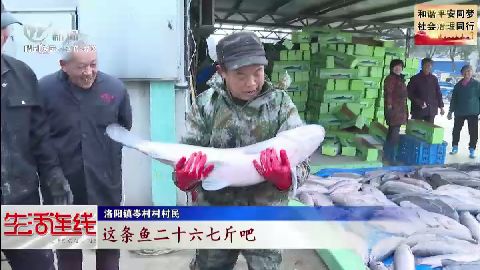 武進新聞