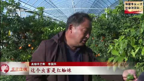 武進(jìn)新聞