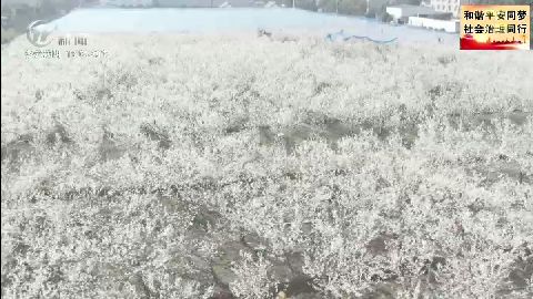 武進新聞