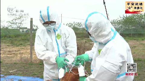 武進新聞