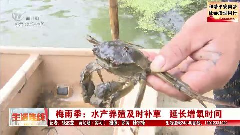 武進新聞