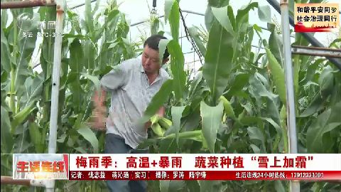 武進新聞