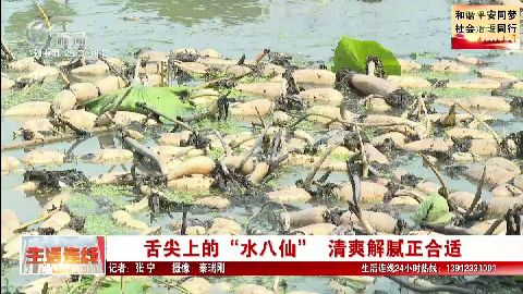 武進新聞