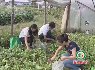 武進新聞