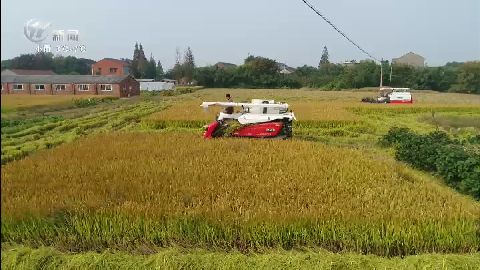 武進新聞