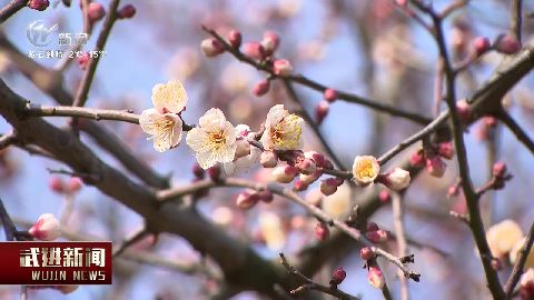 武進(jìn)新聞