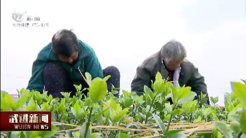 武進新聞