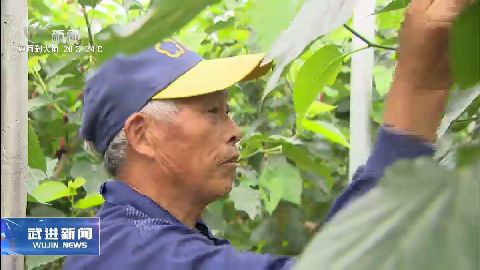 武進新聞