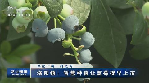 武進(jìn)新聞