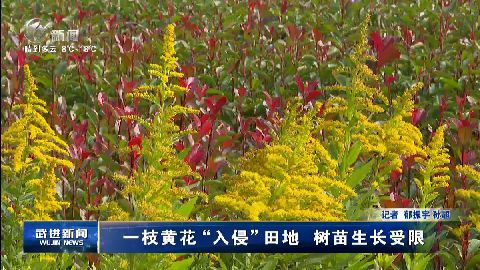 武進(jìn)新聞