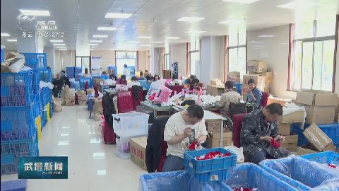 武進新聞