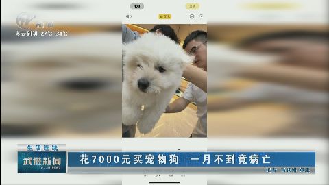 武進新聞