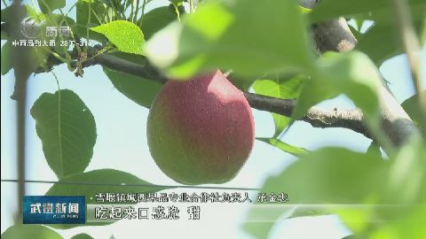 武進新聞